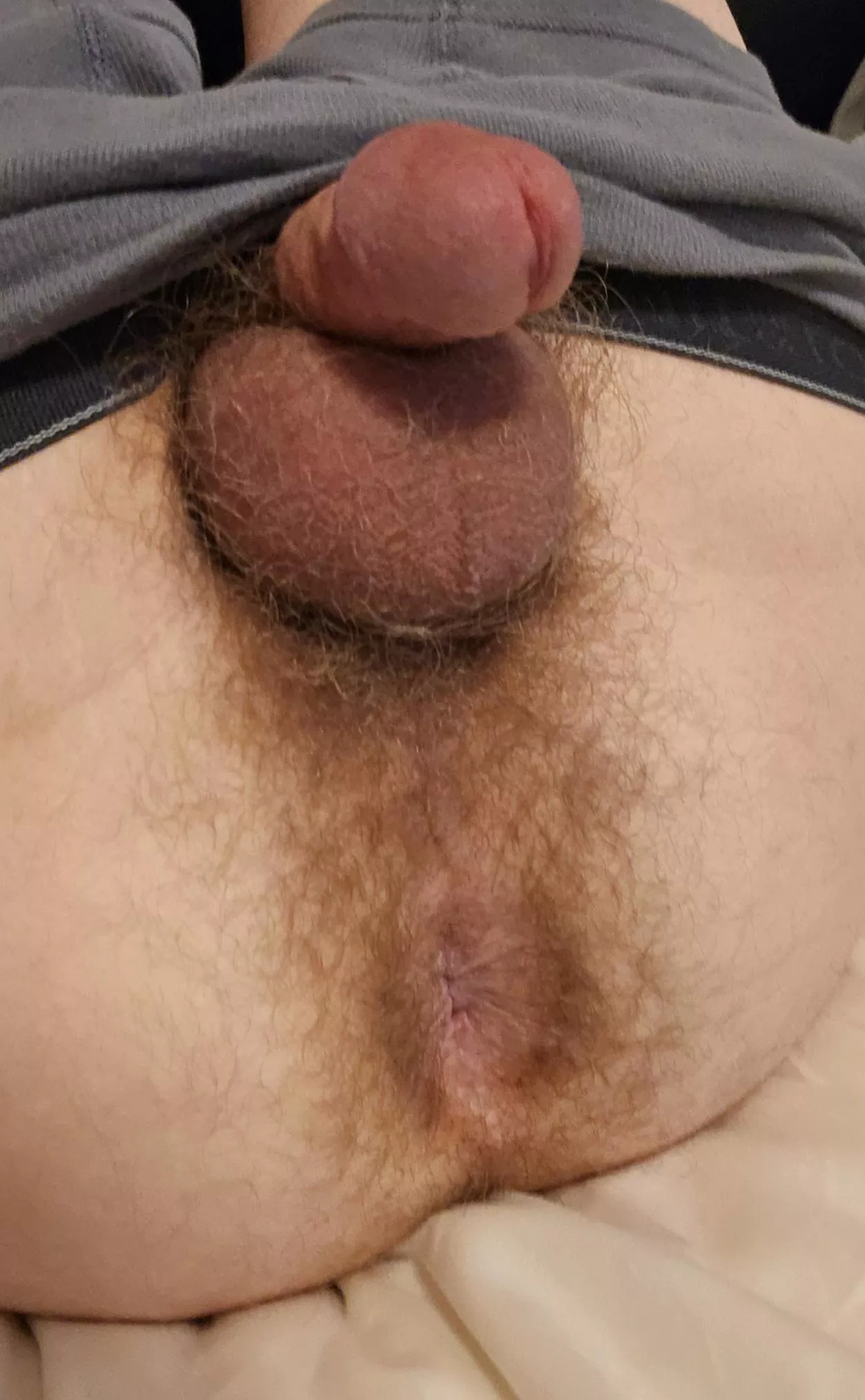 Need something inside me posted by altaccbutitsgay1