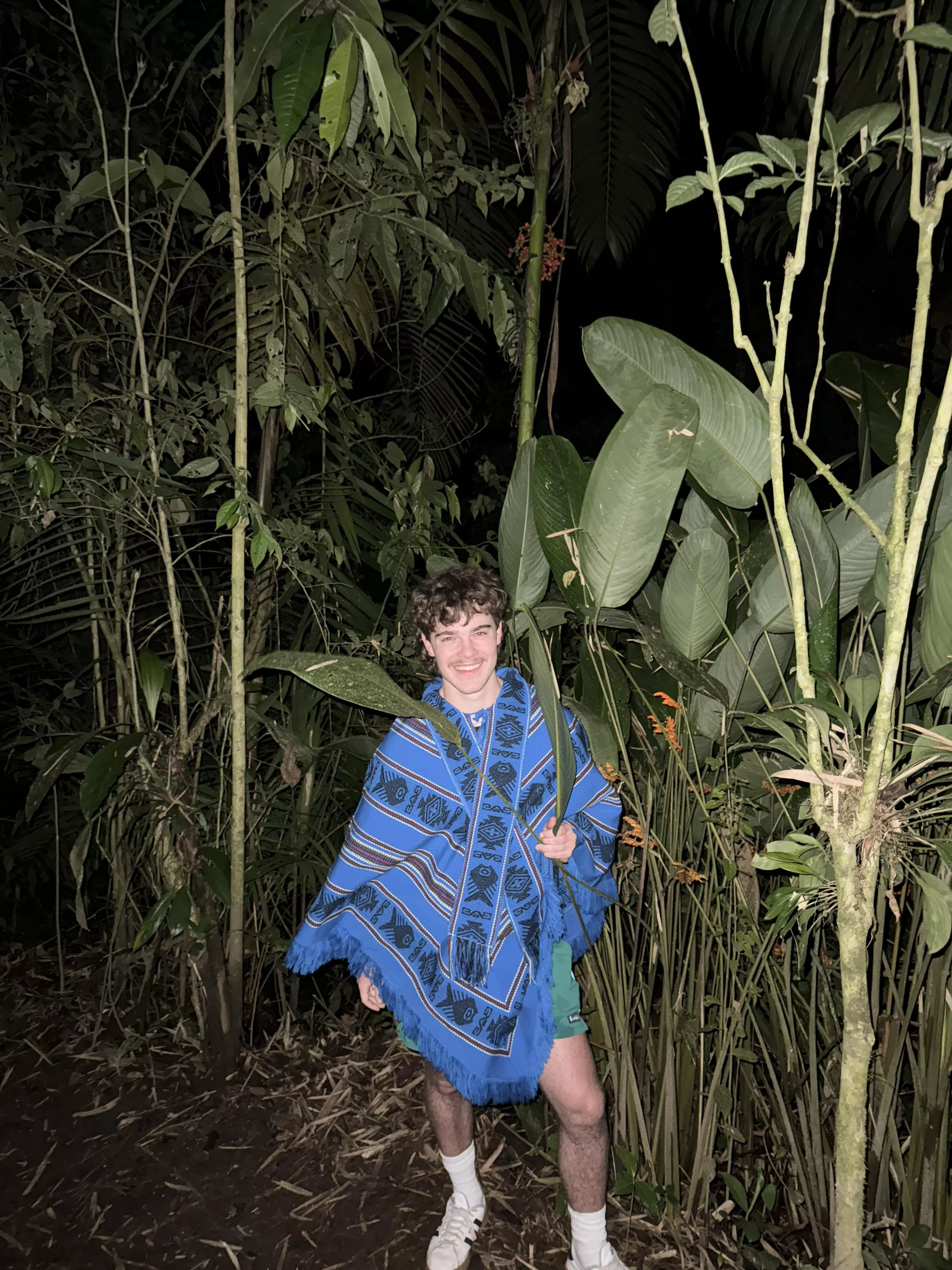 On a trip to to the rainforest! posted by solarjaxoo