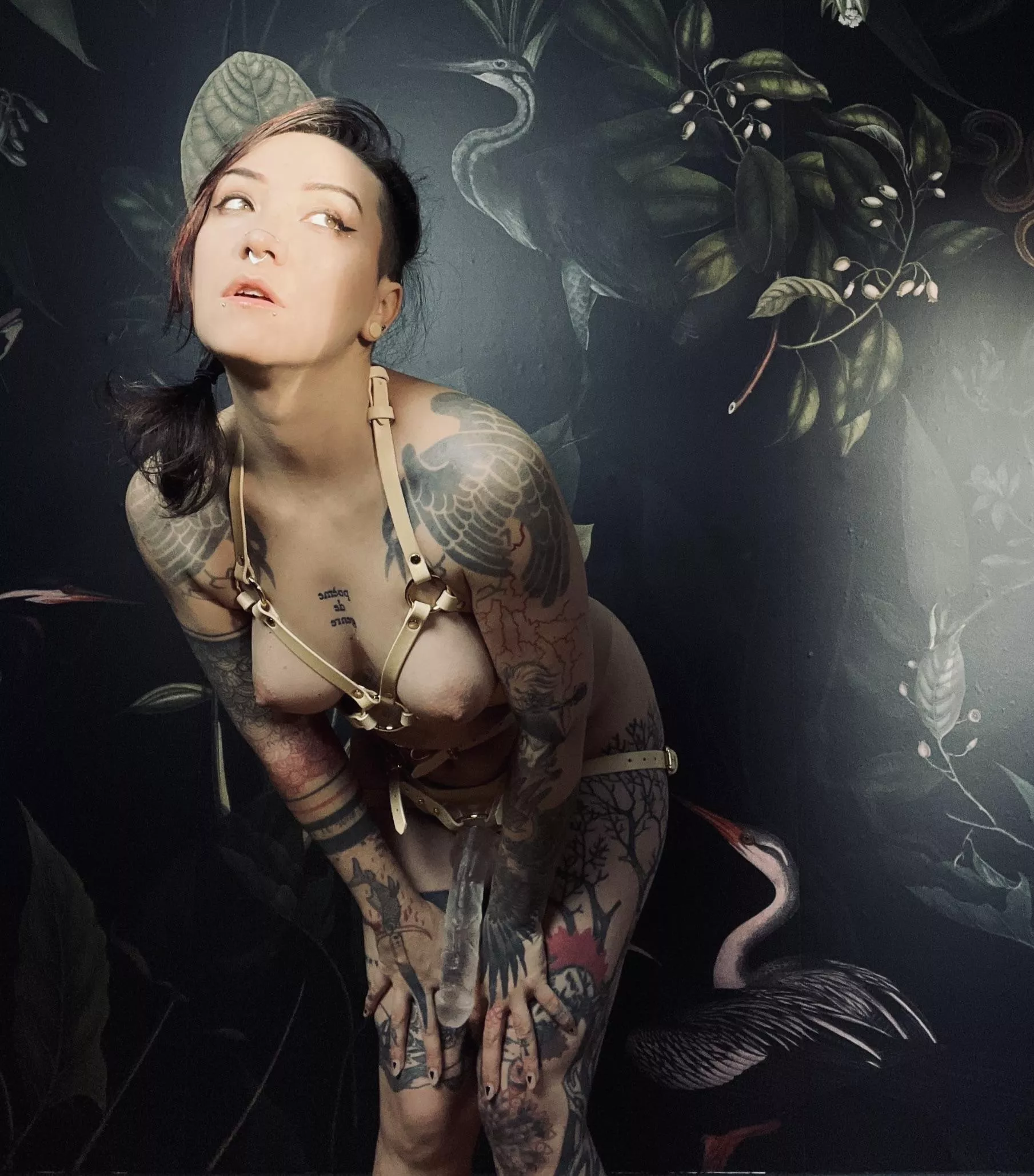 strap on ready posted by UrsinaeVespera