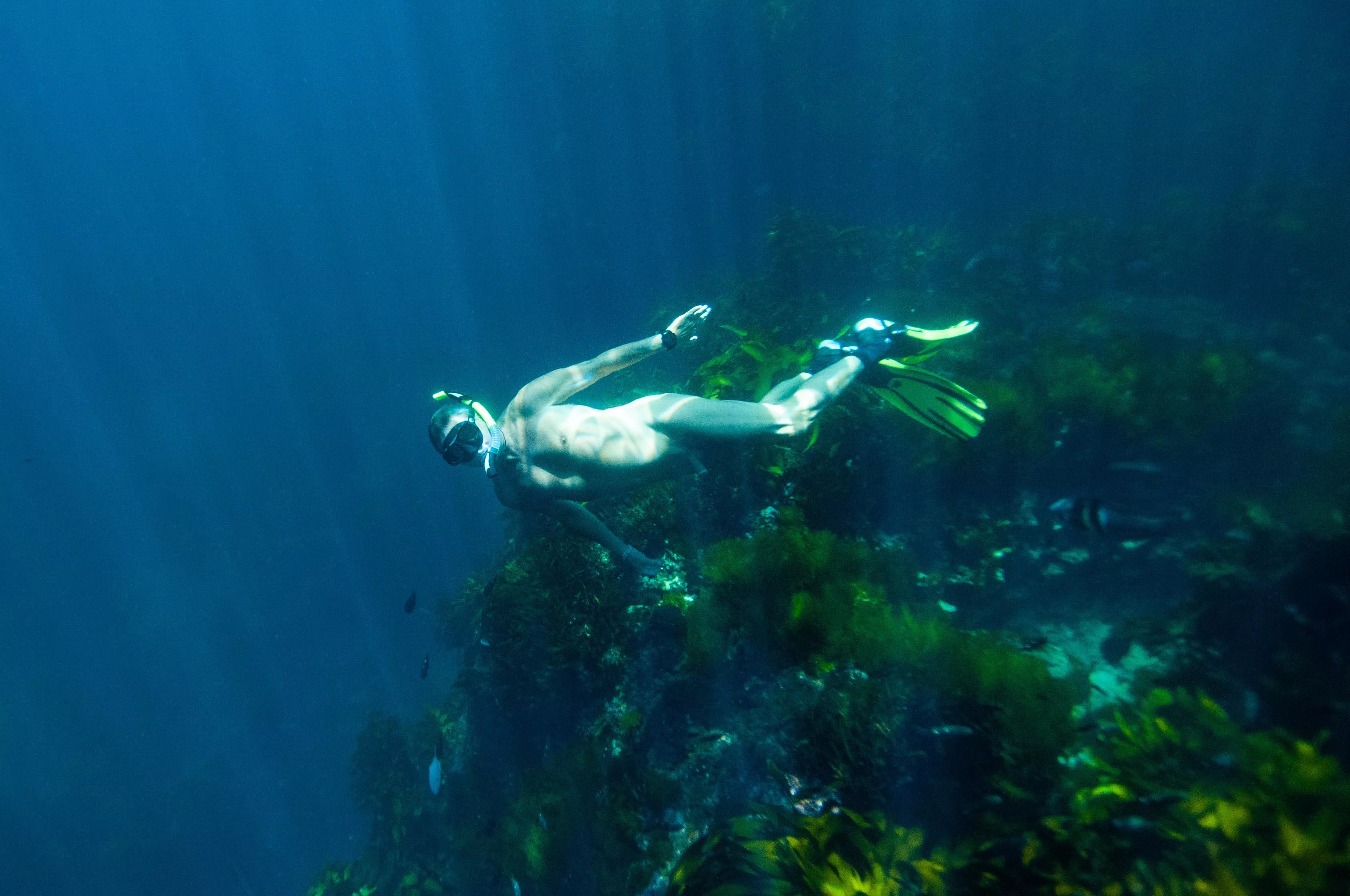 Summer continues with cool swims posted by seriouslynarced