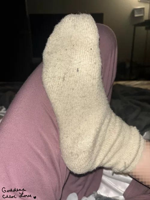 these are my used socks, and are more important than you [F] by Goddess_ChloeLove
