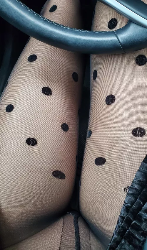 You favorite Uber driver has arrived.. by popruzhinka