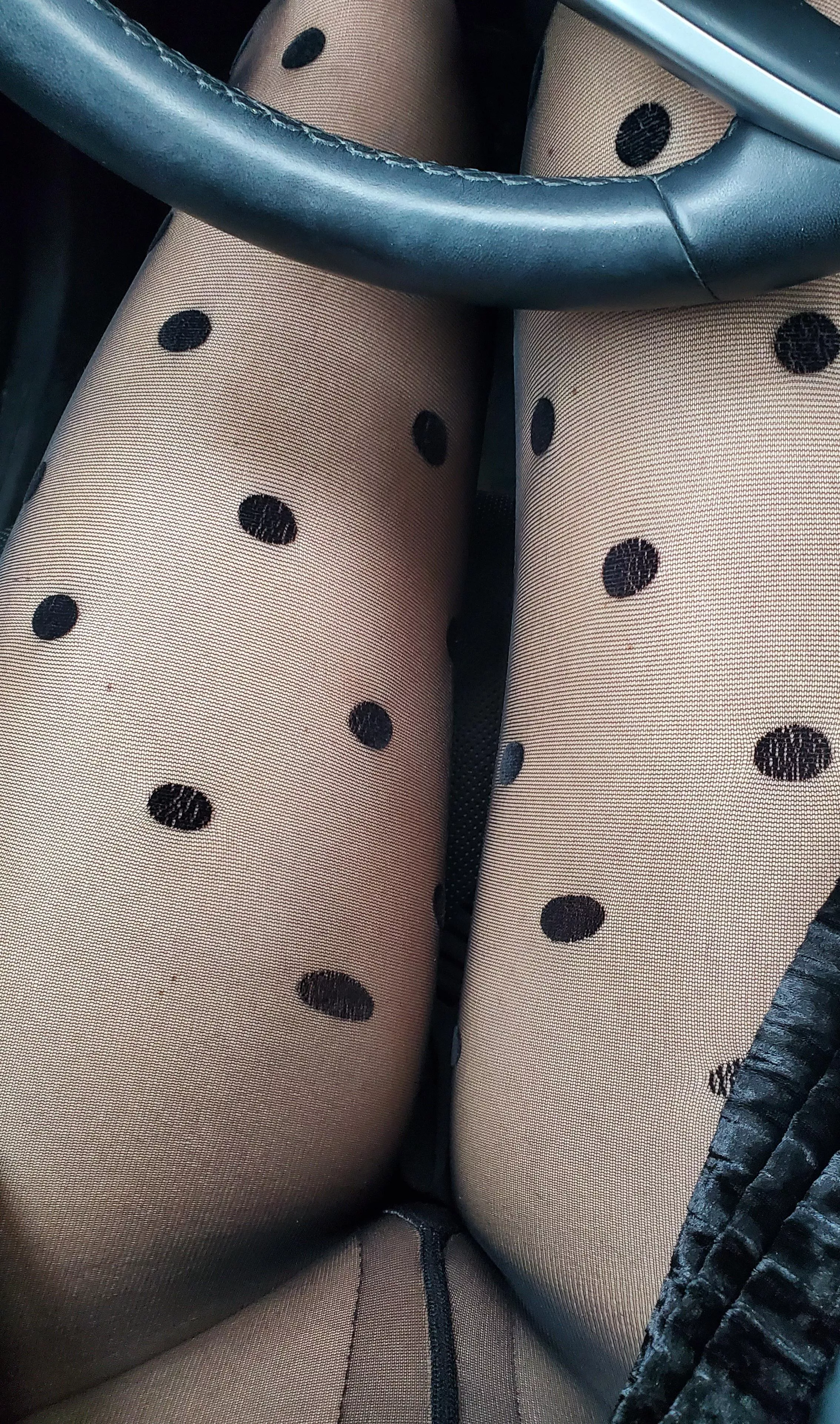 You favorite Uber driver has arrived.. posted by popruzhinka