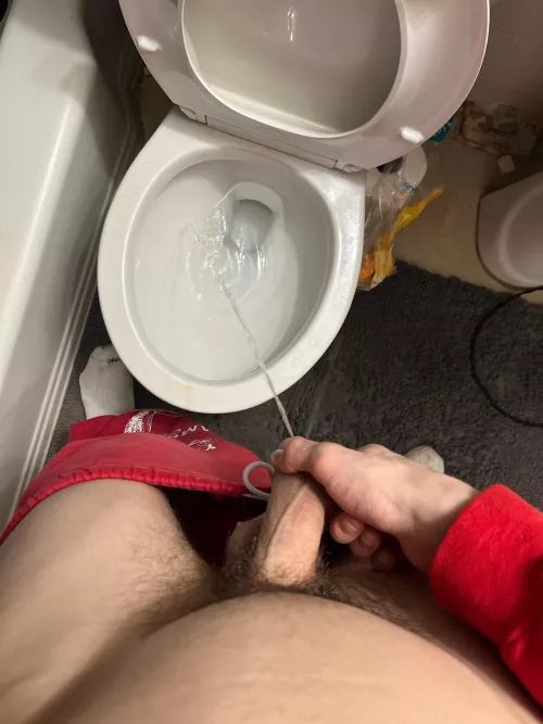 you wanna see my piss play? by RobertDeitz