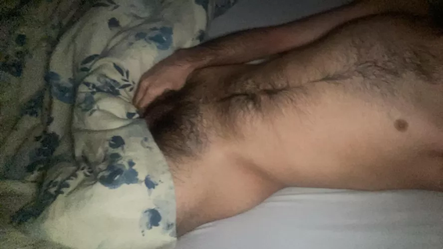 22 m into hairy, bears, older add snap vague7777 all welcome by Fit_Midnight_5431