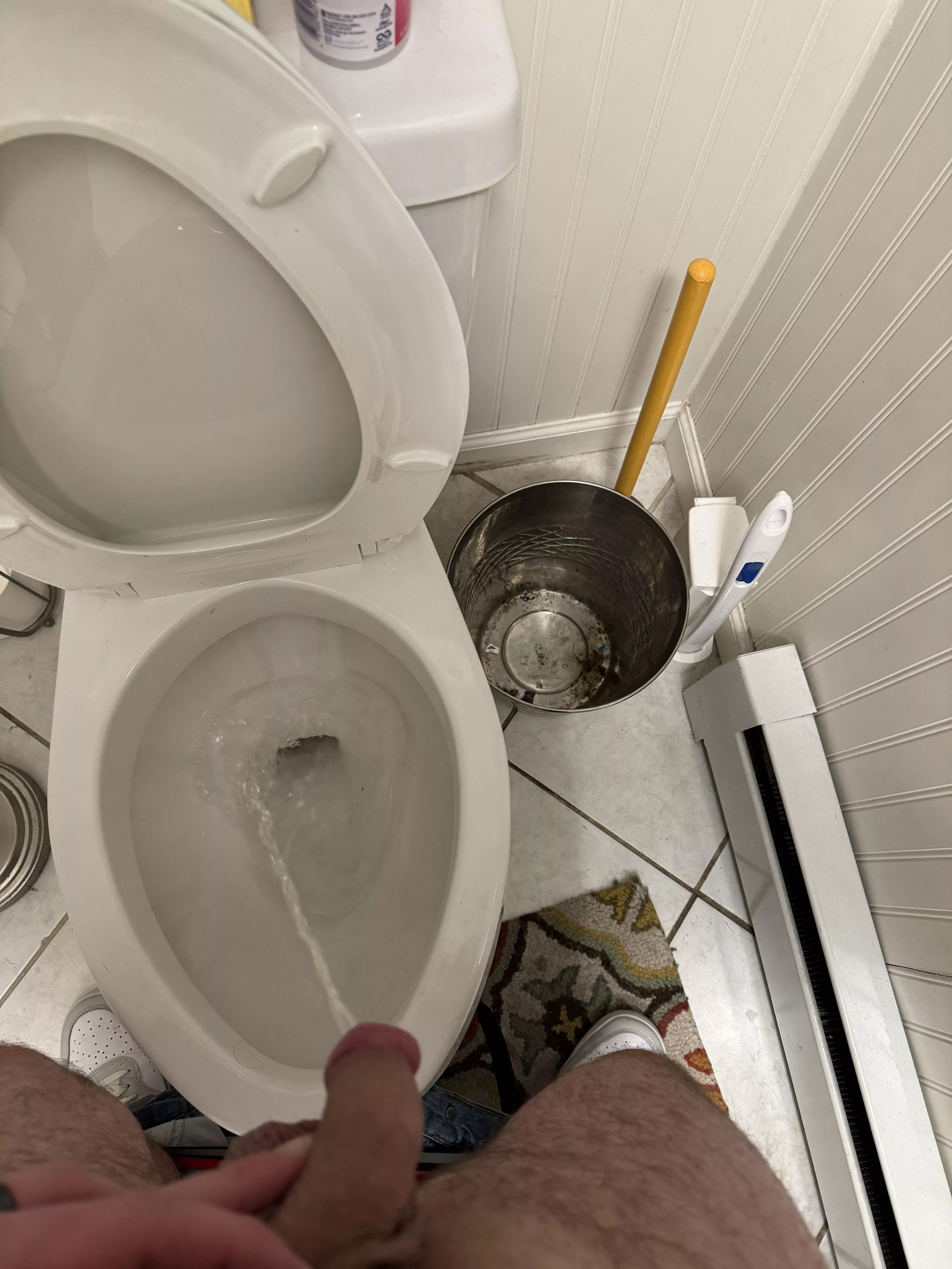 Feeling like you should be the toilet tonight posted by tequilataster