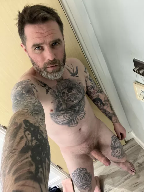 Good evening by Effective-Voice5902