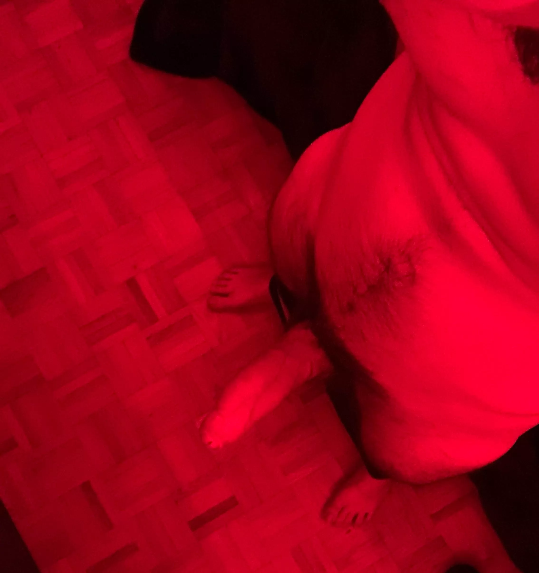 hey posted by ToeNecessary5419