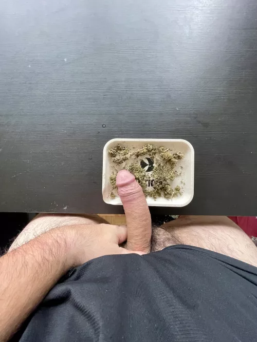 Ho(m)e grown. by Additional_Bear_5696