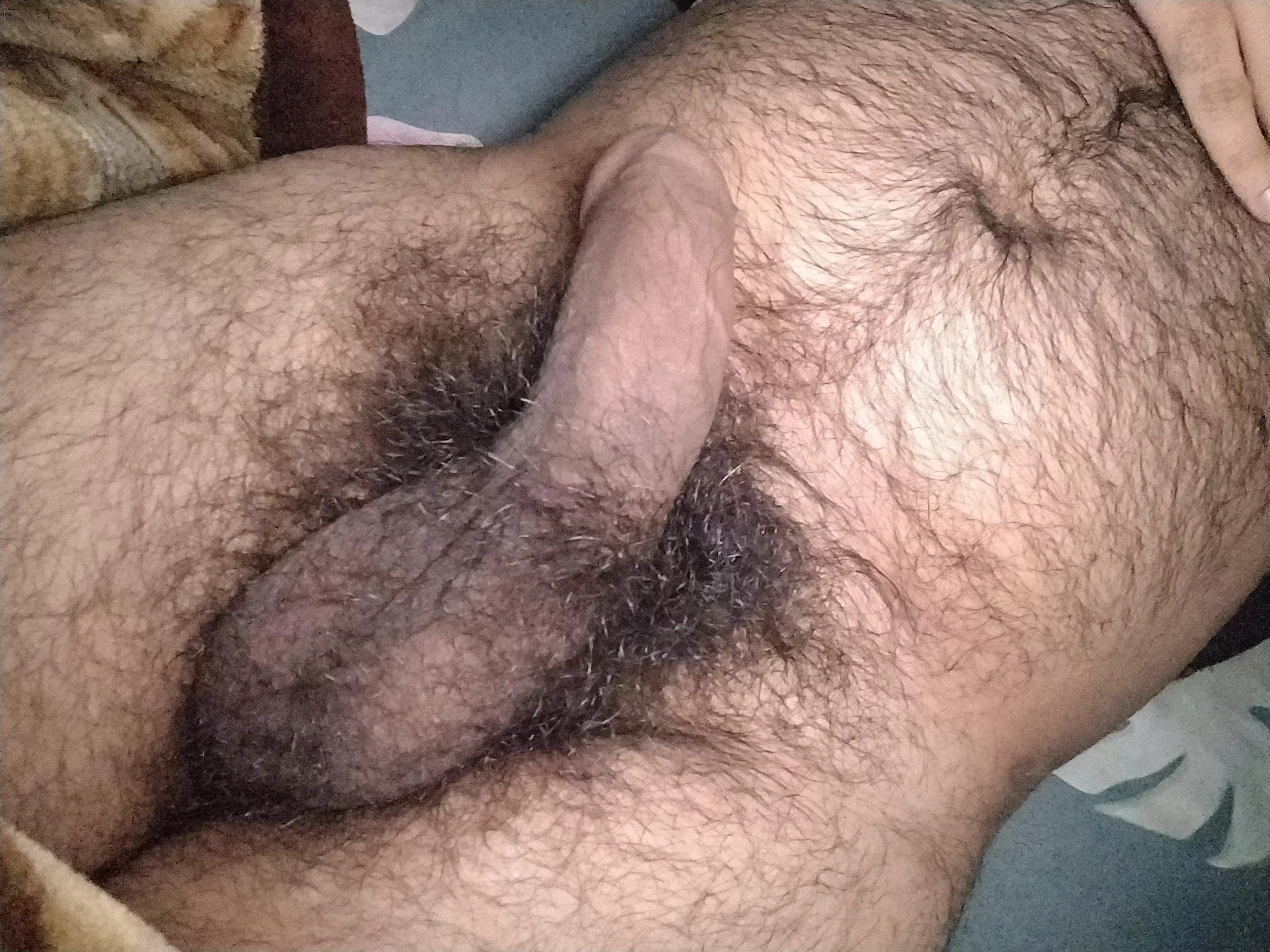 How's it posted by Indian_hairy