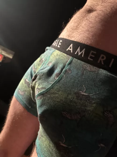 I like to think these undies leave just enough to the imagination by LanguageOwn2325