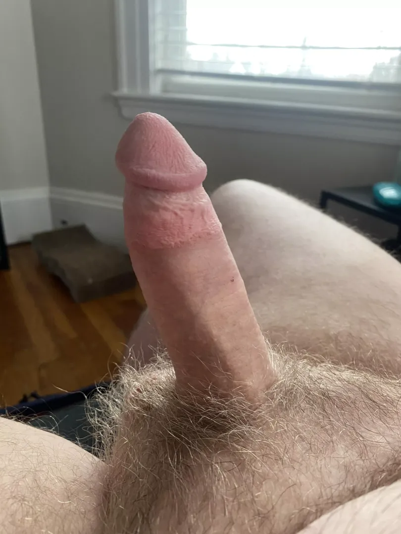I think I have a perfect cock. Do you agree? posted by Electronic-Hunter658