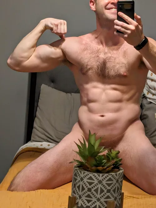 Indoor House Plants Increase Productivity....Allegedly by SilentlyScreaming0