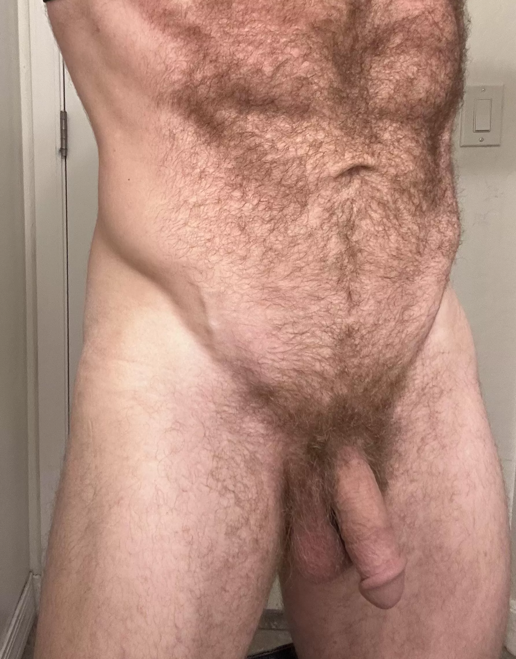 It’s starting to warm up in AZ. Almost time to trim winter coat. posted by Restrained_bwc369