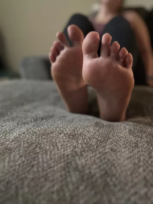 Rub my feet like the good little foot bitch that you are. I just know you wish I were rubbing them all over your face hahaha 🦶🏻 by Ok_Kiwi3637