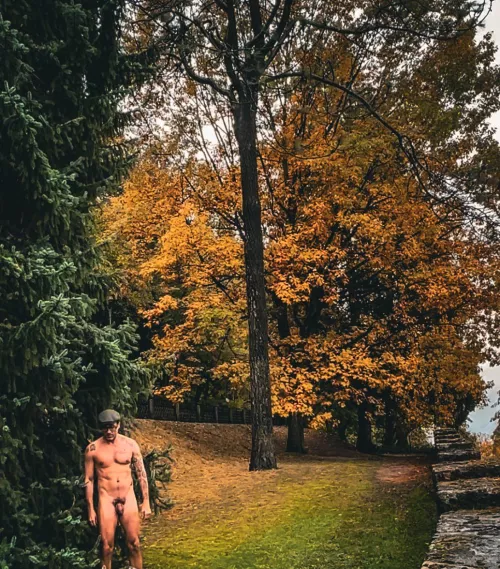 So Public…by the Road and Entrance to the Park by ulixeshaus