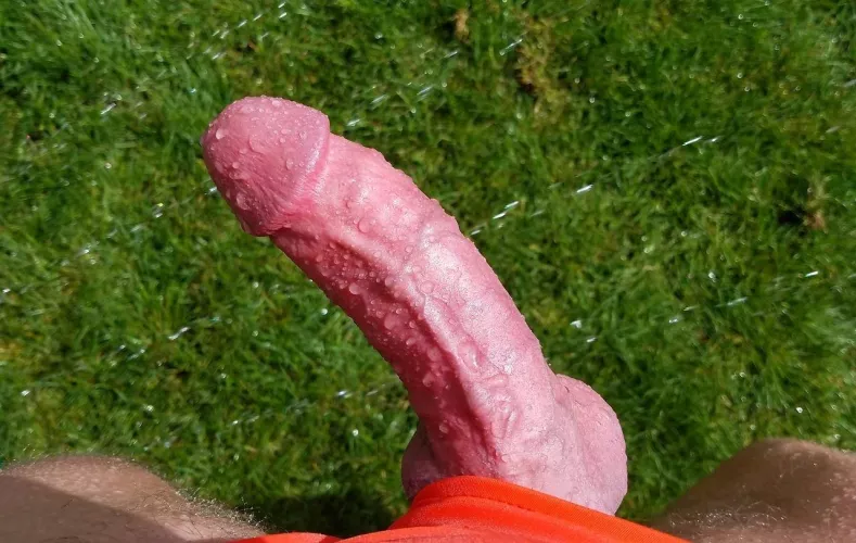 the sprinkler at the park got my cock wet by Inevitable-Night-611