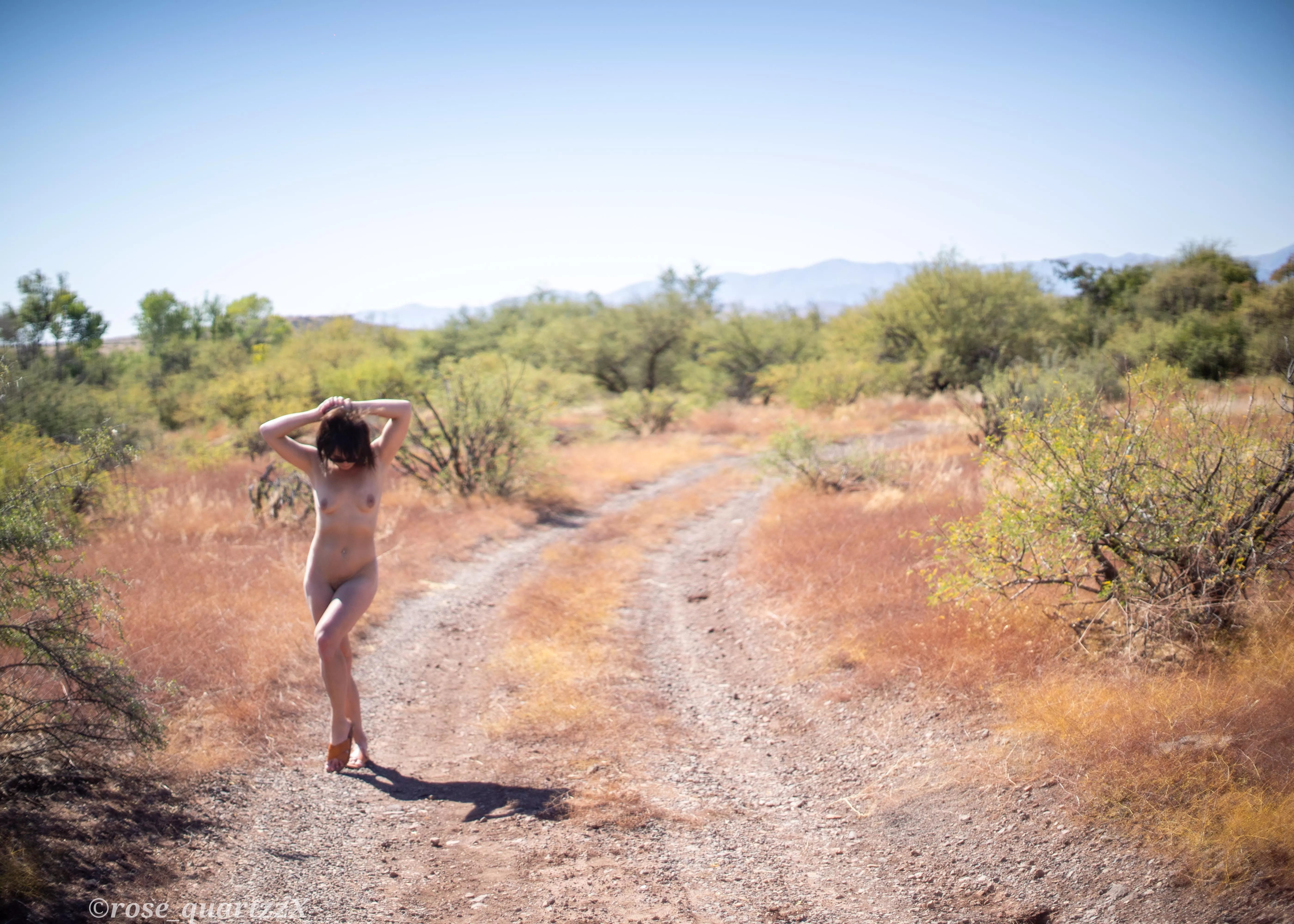 wanderings posted by rose_quartzzX