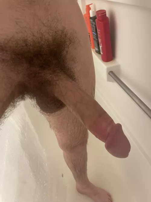 Who wants to make it squeaky clean? by Litwick12