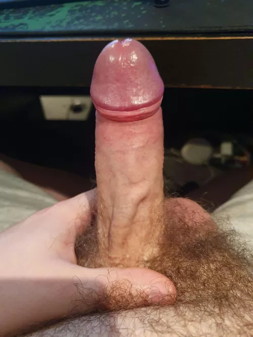 25 [M] Use this virgin cock by Loveinafamily