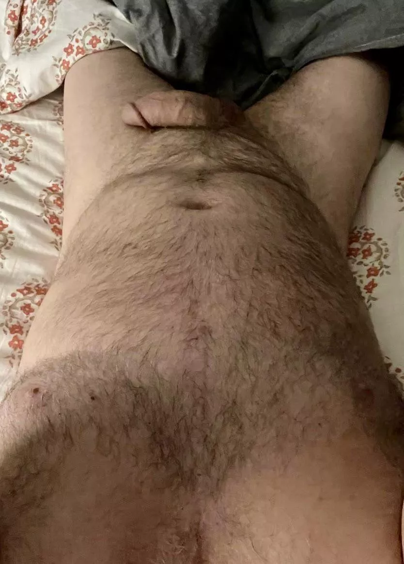 (55) dadbod on this daddy posted by texasdaddy121