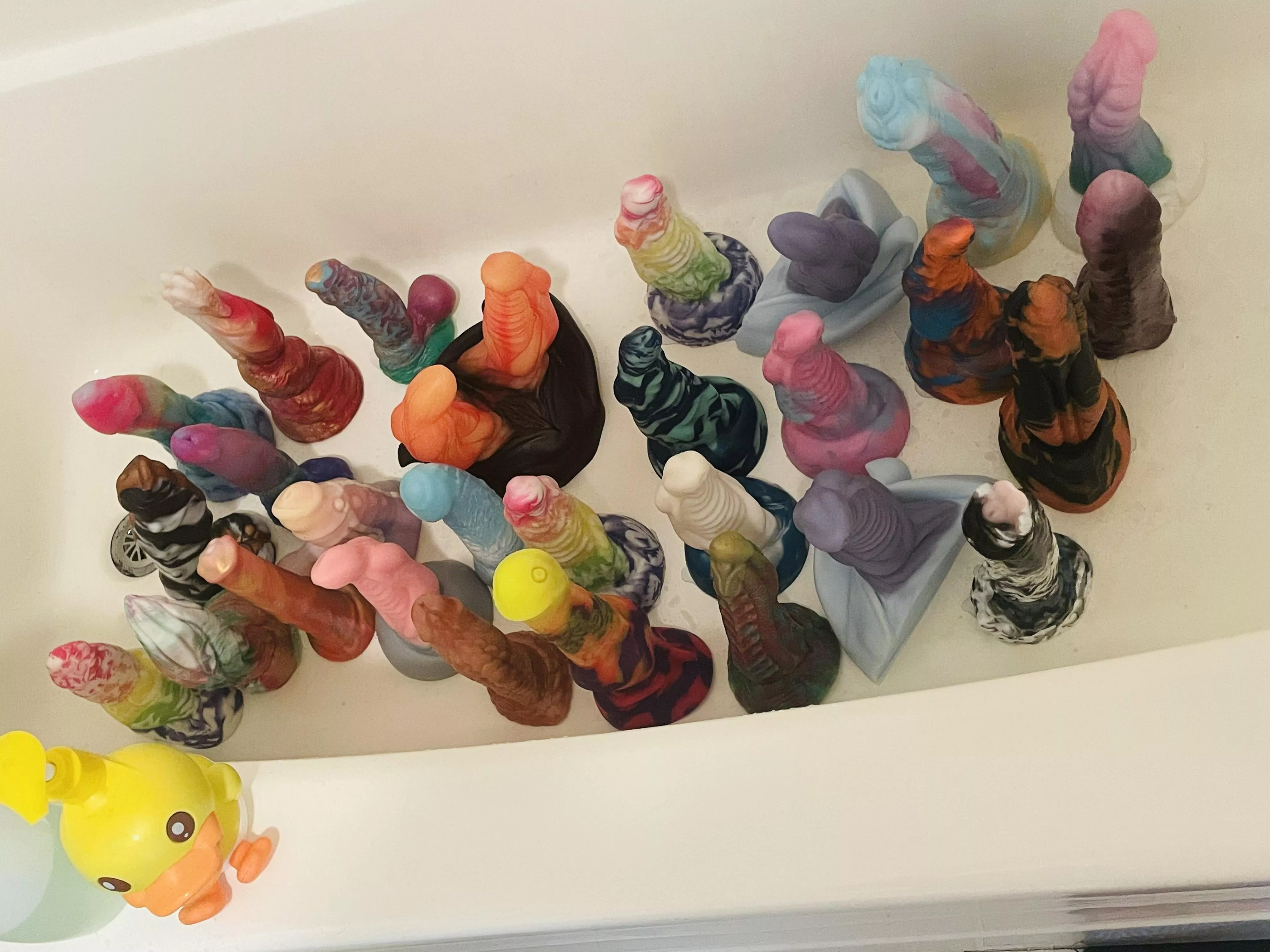 Bath day part 1 posted by nawtyfaux69