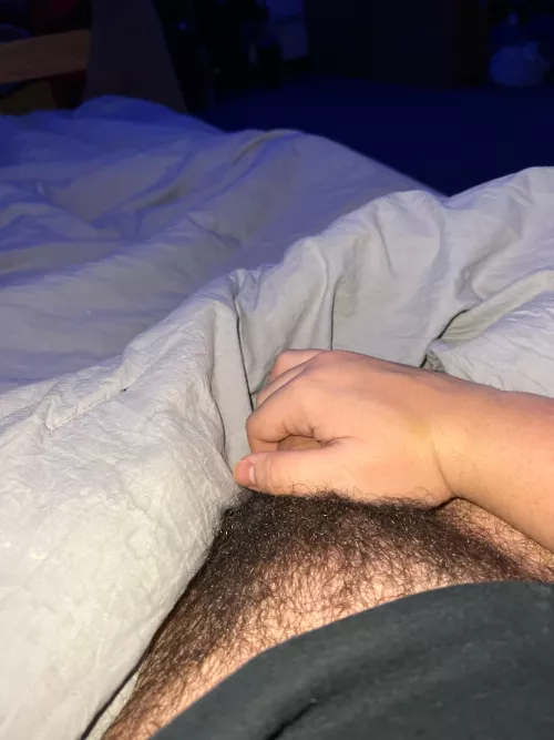 Bush is getting crazy what do I do guys? by Desperate_Formal_685