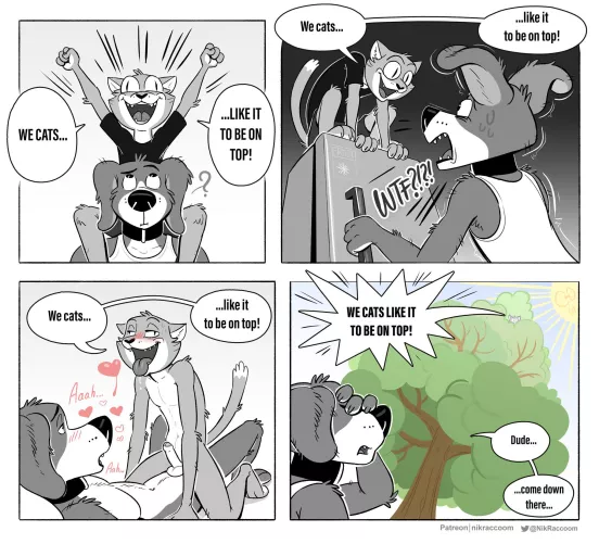 Cats Do Be Like That~ (NikRaccoom) by DL2828