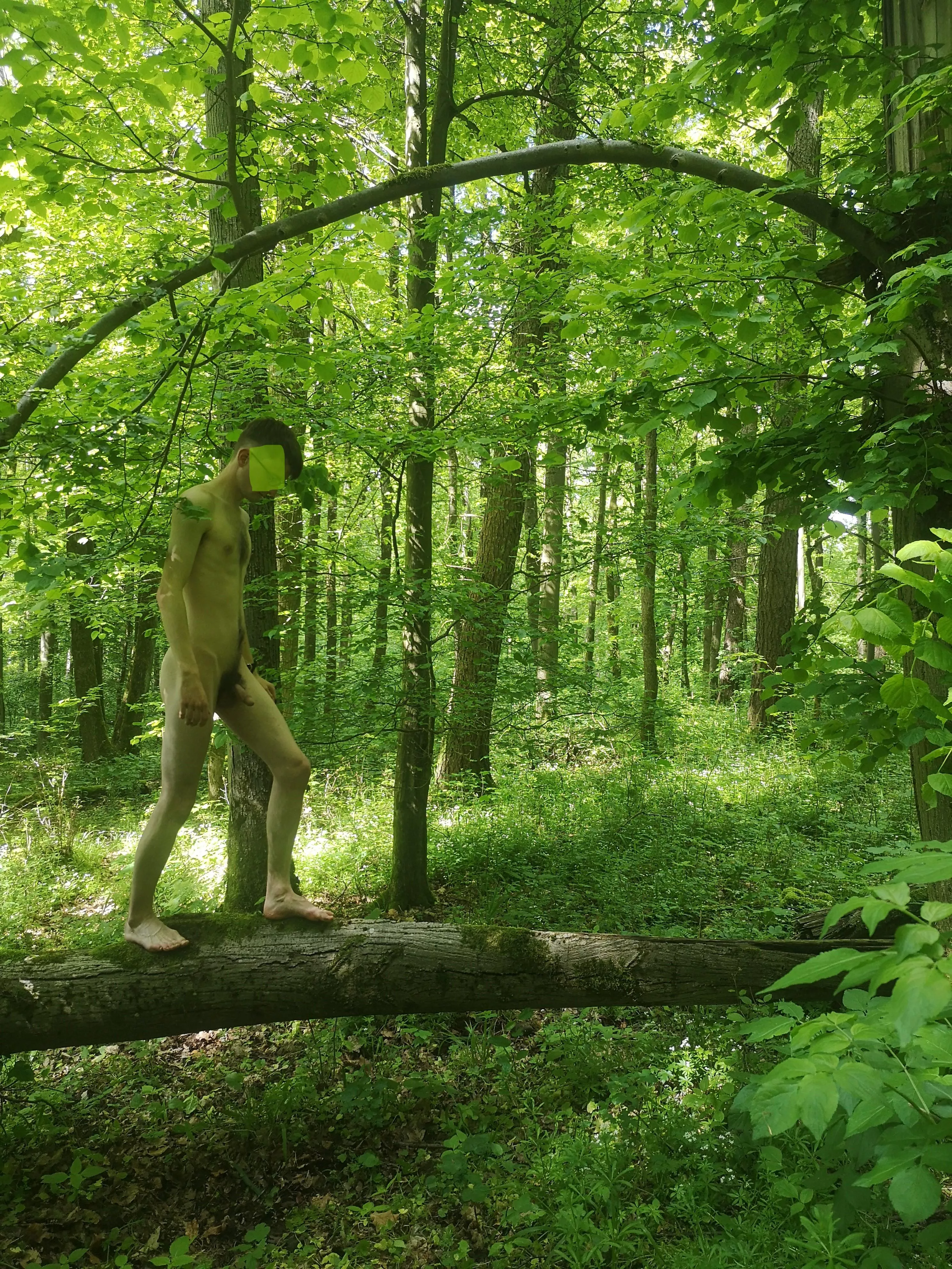 Feeling nature in my natural form posted by Water_birdy