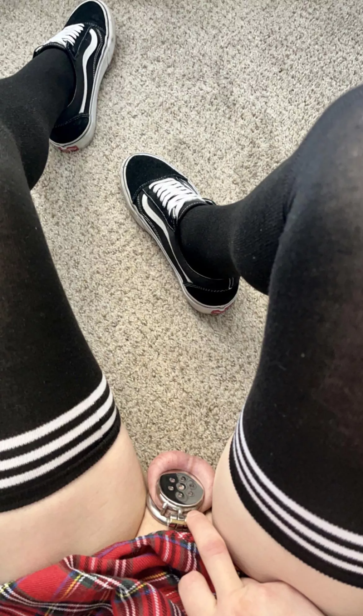 Getting more used to my flat cage posted by ca78625