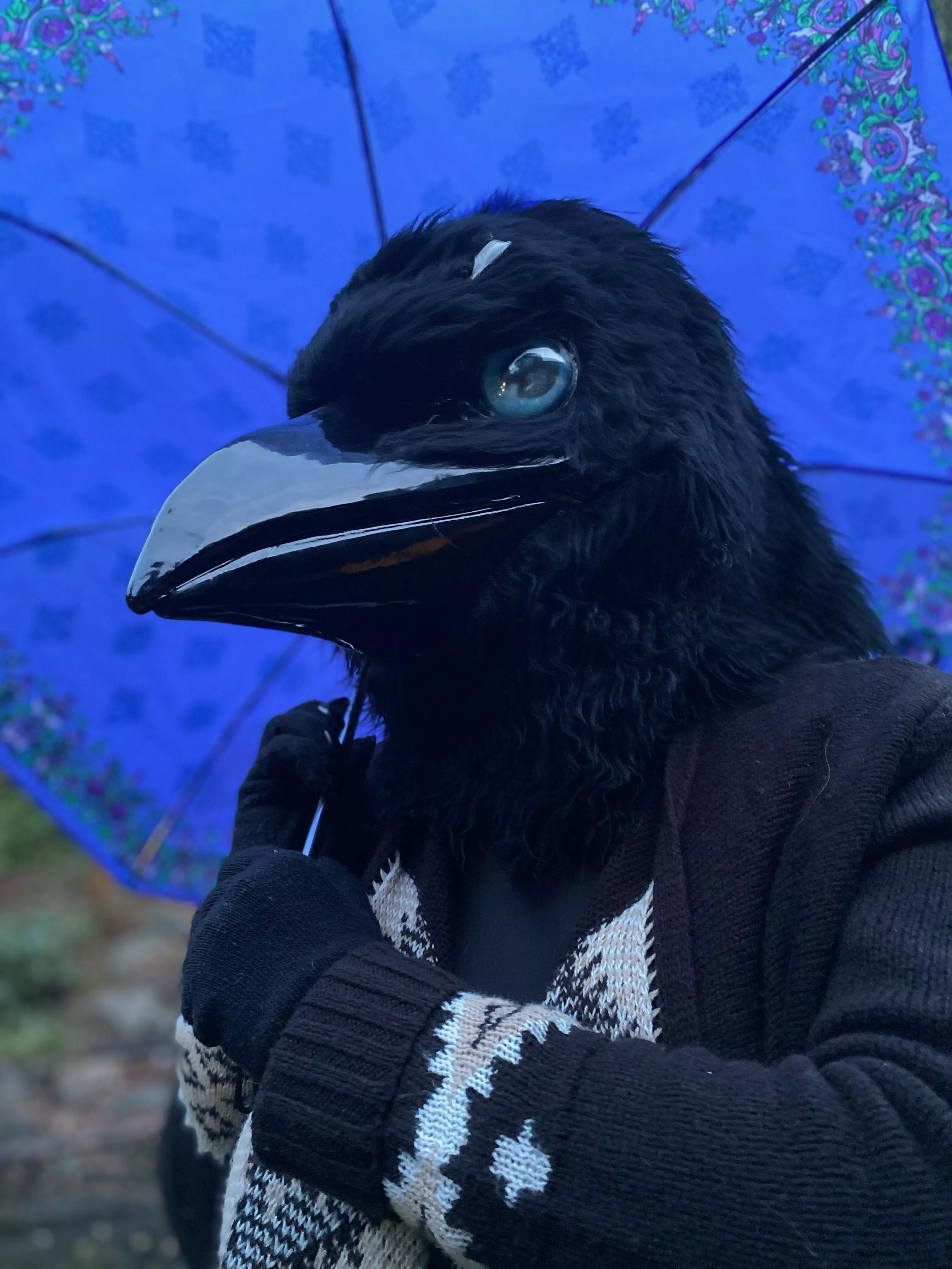 Happy Feathersuit Friday once again yall! 💙🐦‍⬛(photo by my dearest) posted by TheCreepy_Corvid