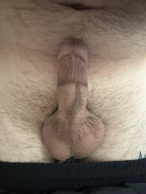 Hope this makes your night better by LegitimateAct2021