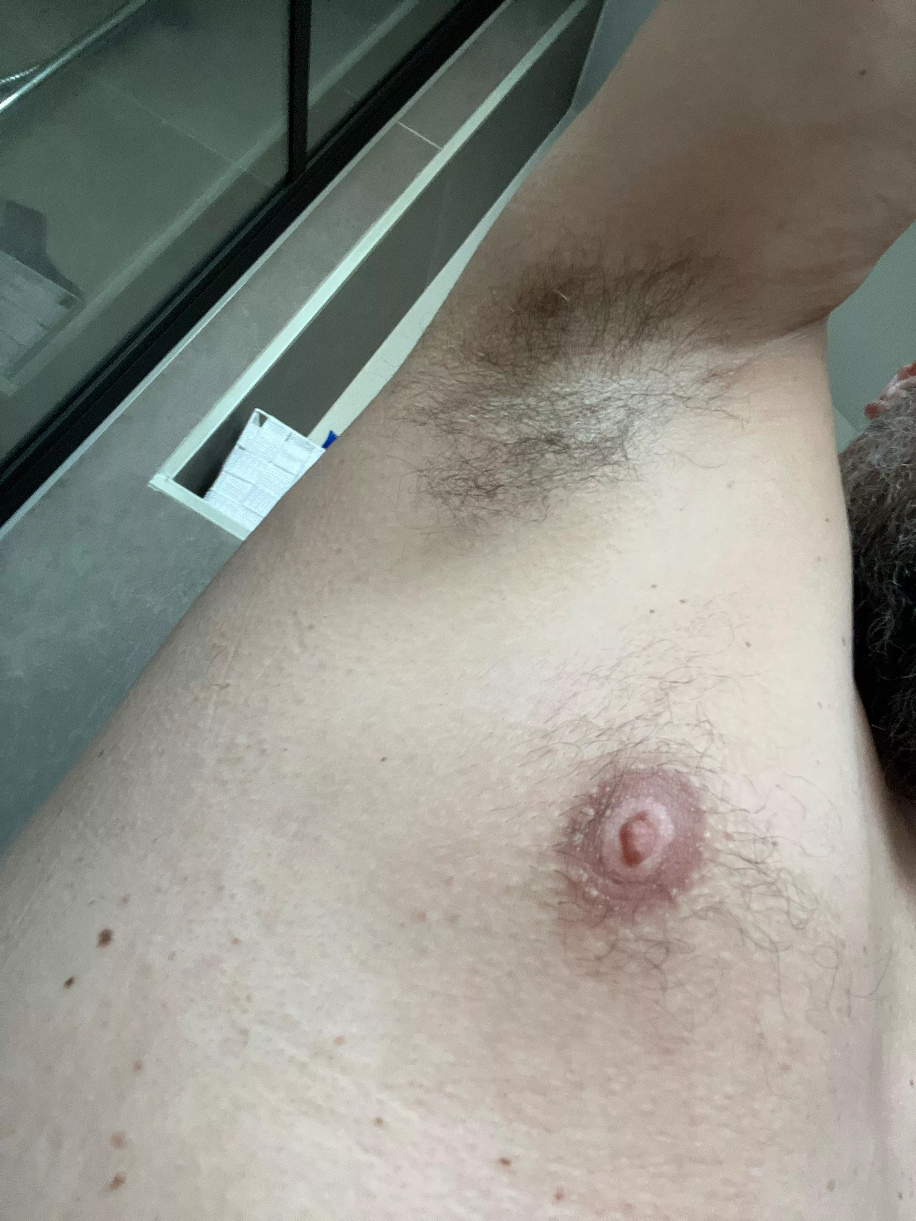 Never shave posted by therickdick