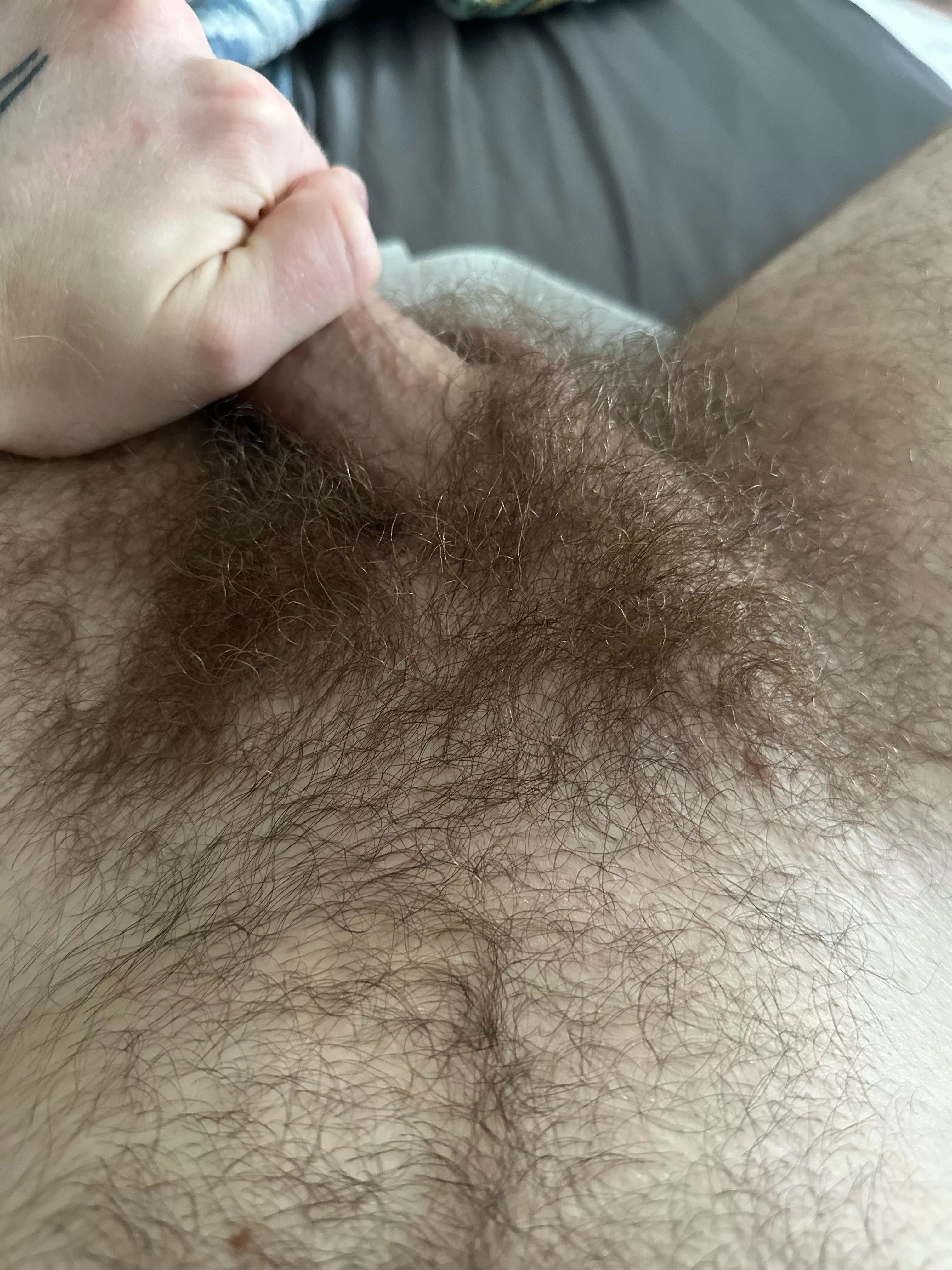 Off to a good start posted by wittyryan7