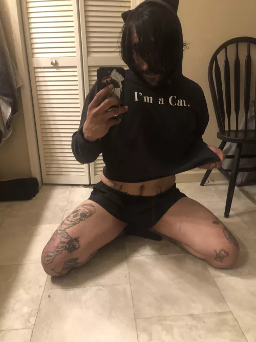 Pet me, I’m an Otter Cat 🐈‍⬛ by Callmemusubi