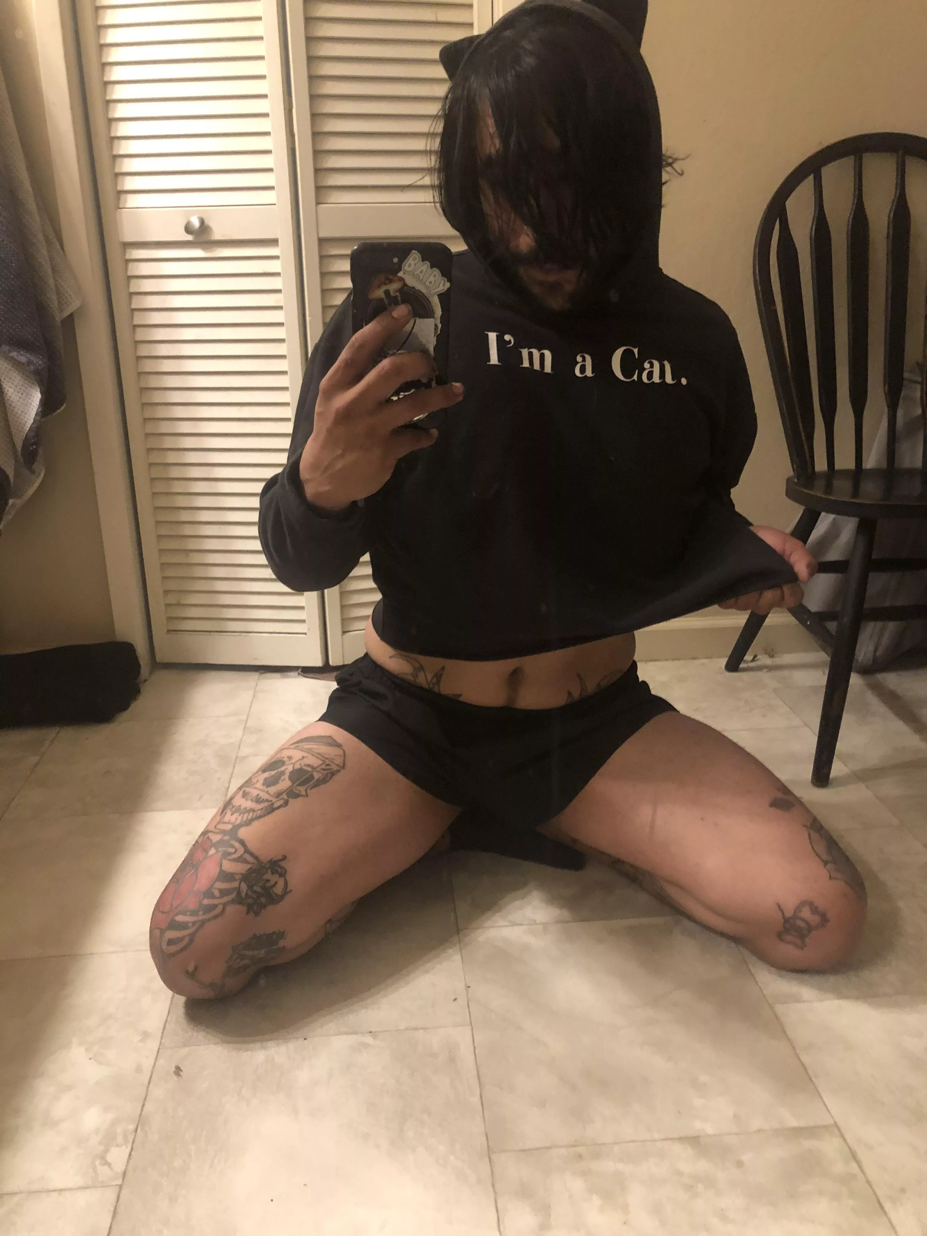 Pet me, I’m an Otter Cat 🐈‍⬛ posted by Callmemusubi