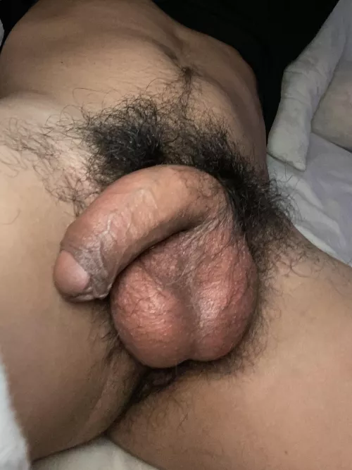 Play with my ball’s please by Friendly_Two3619