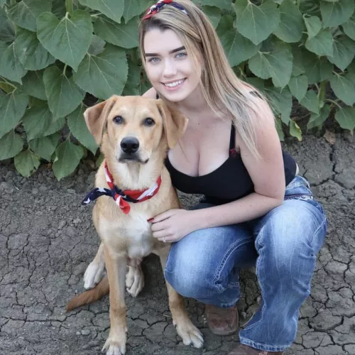 That’s a cute dog by altdaddie