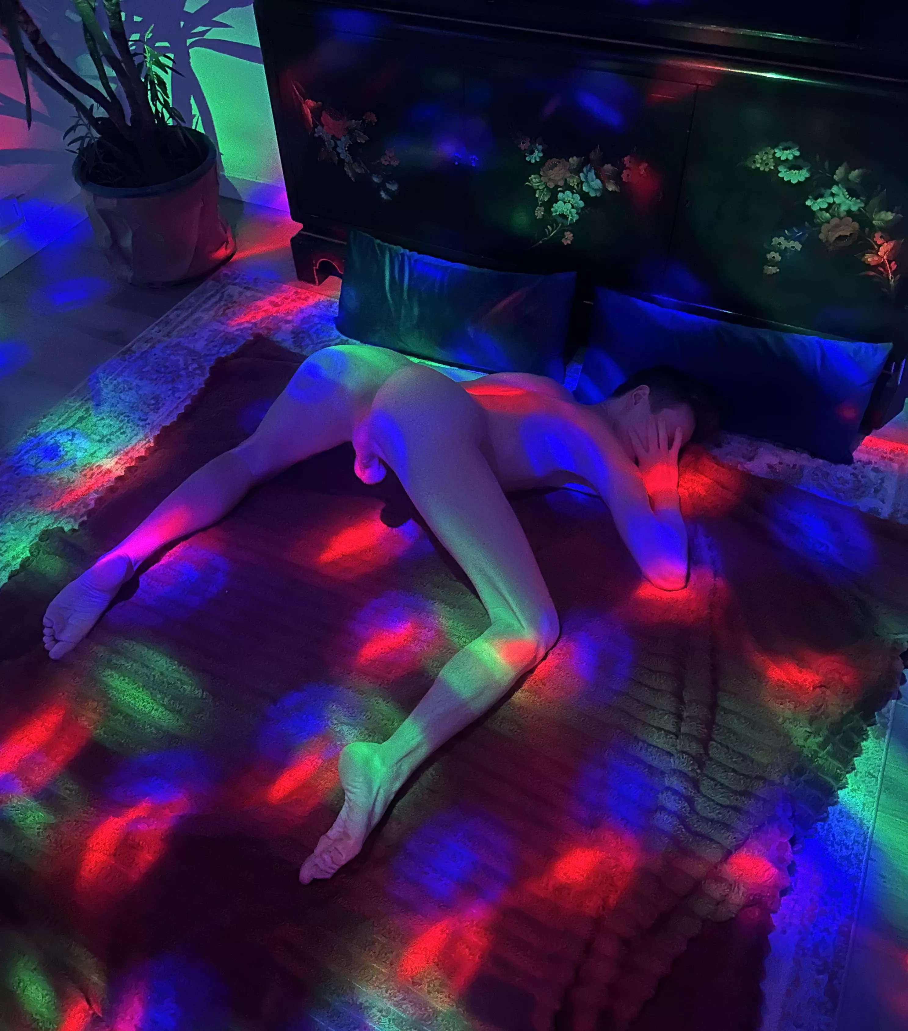 The most aesthetic photo of January posted by lumpishSpheroid