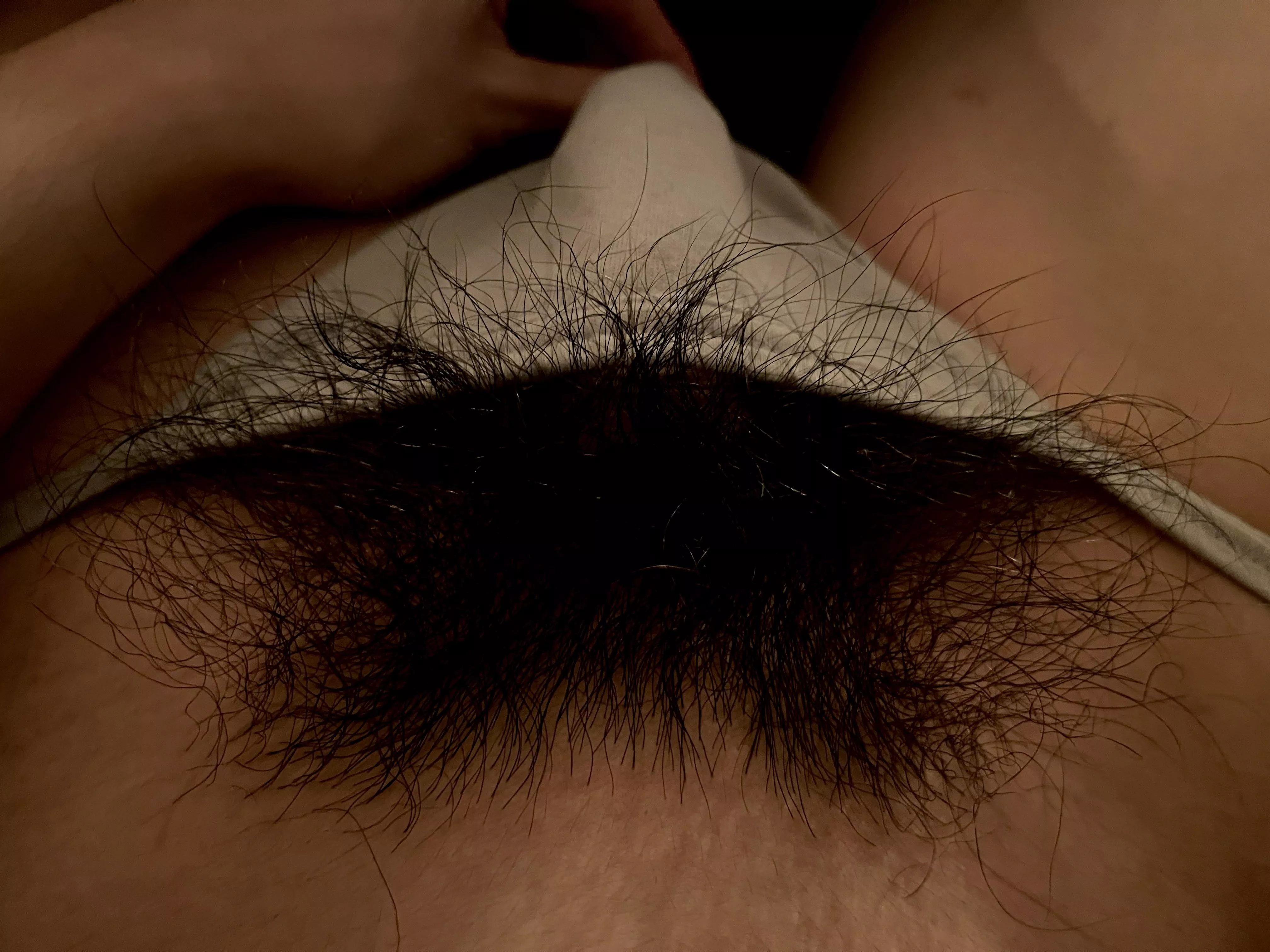 This hairy bush can’t be contained anymore! posted by HairyWildBush