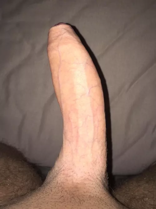 24 BWC for bottoms with toys sc: peterb7850 by Sad_Introduction3509