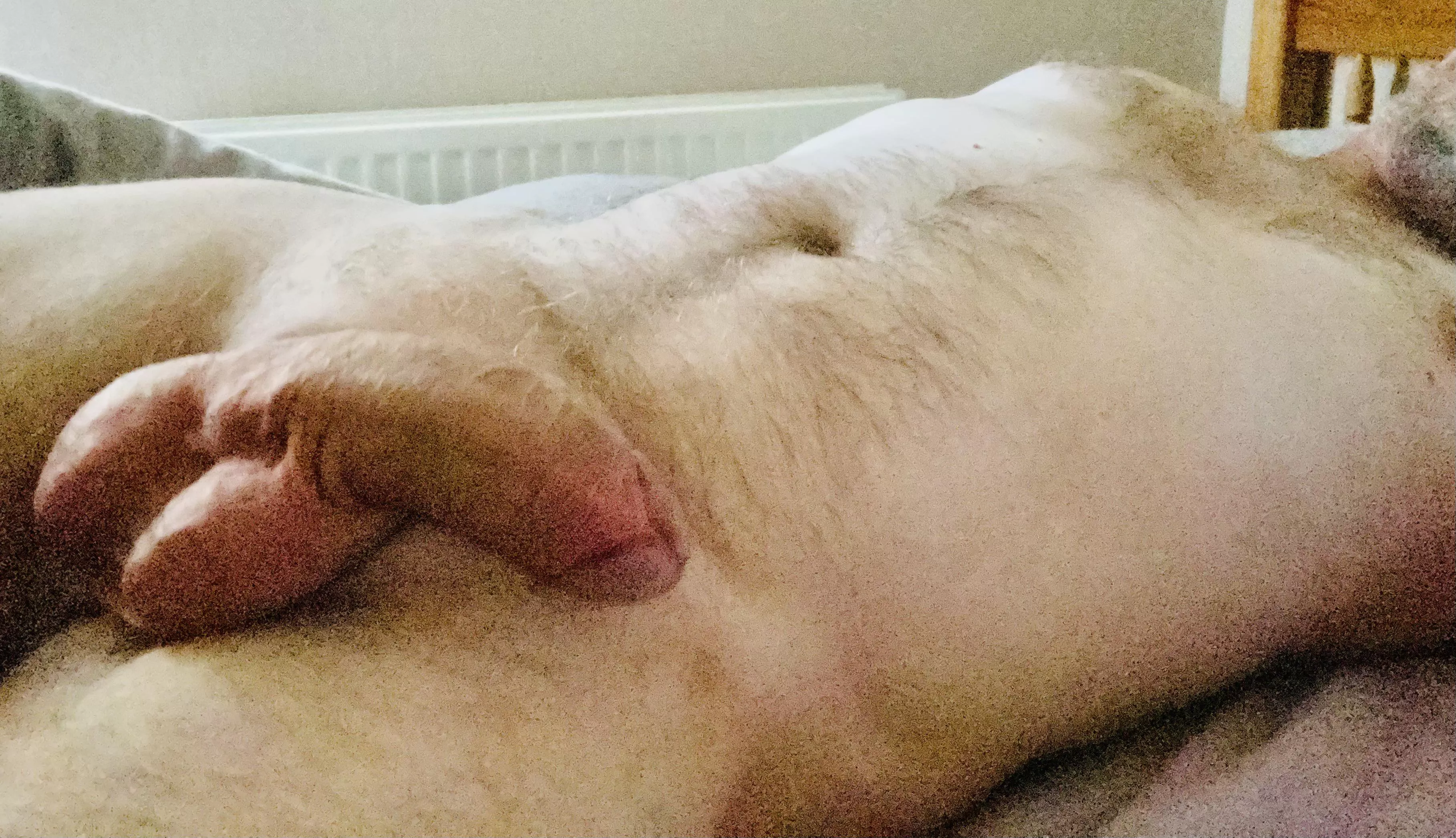 [57] Fancy a lie in? posted by ShyUkDad