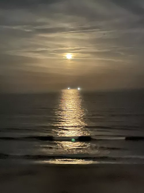 Beautiful moon rise tonight by VagariTurtle