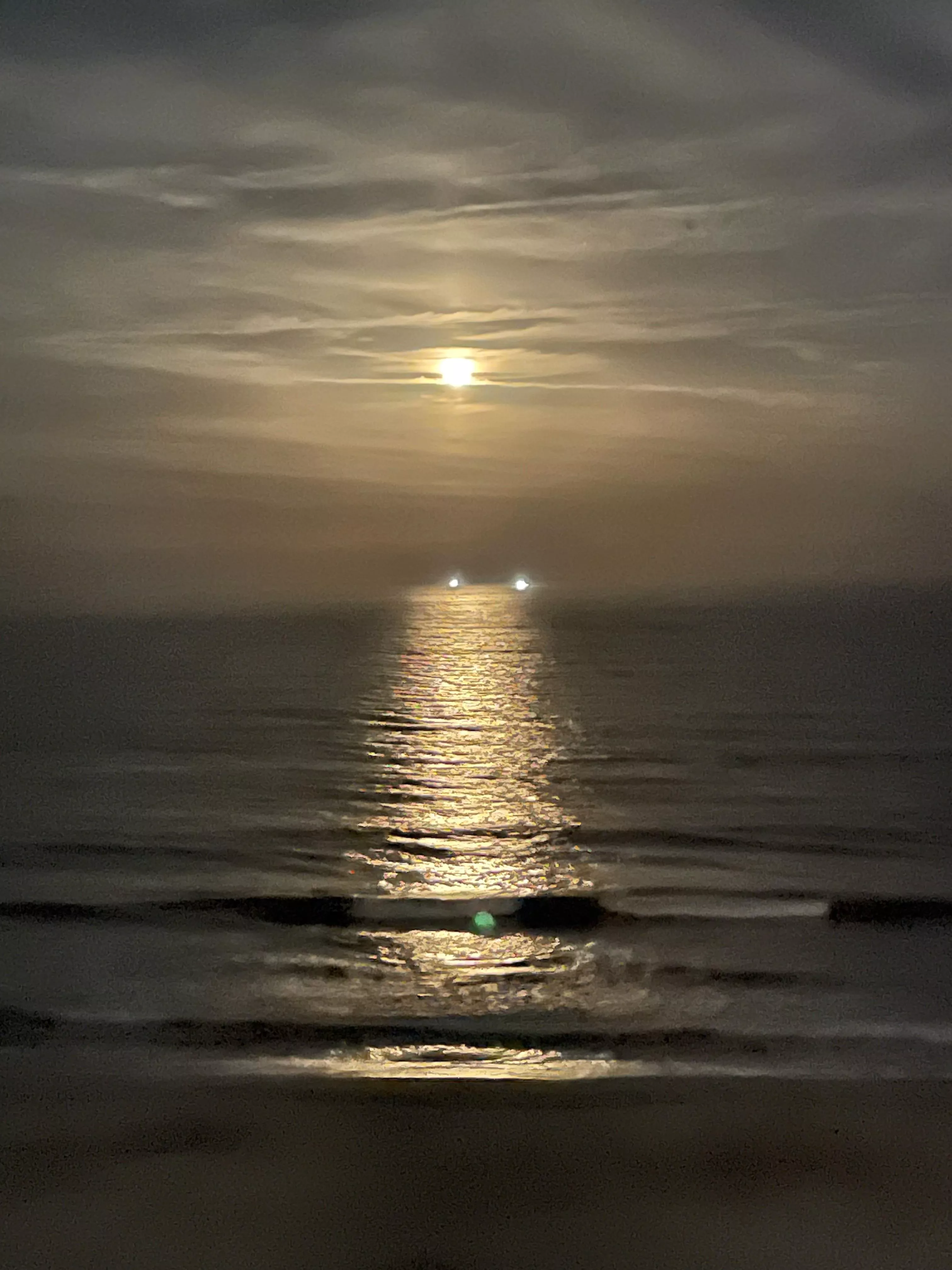 Beautiful moon rise tonight posted by VagariTurtle