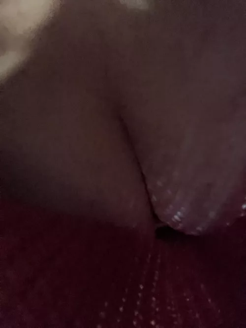 Can you see them? I had to be sneaky… by elainerosebk