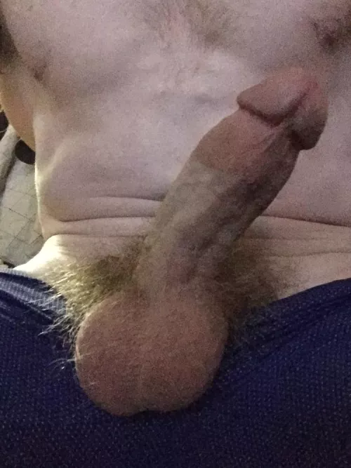 Desperately need to come, send help! by Shiney_Things1