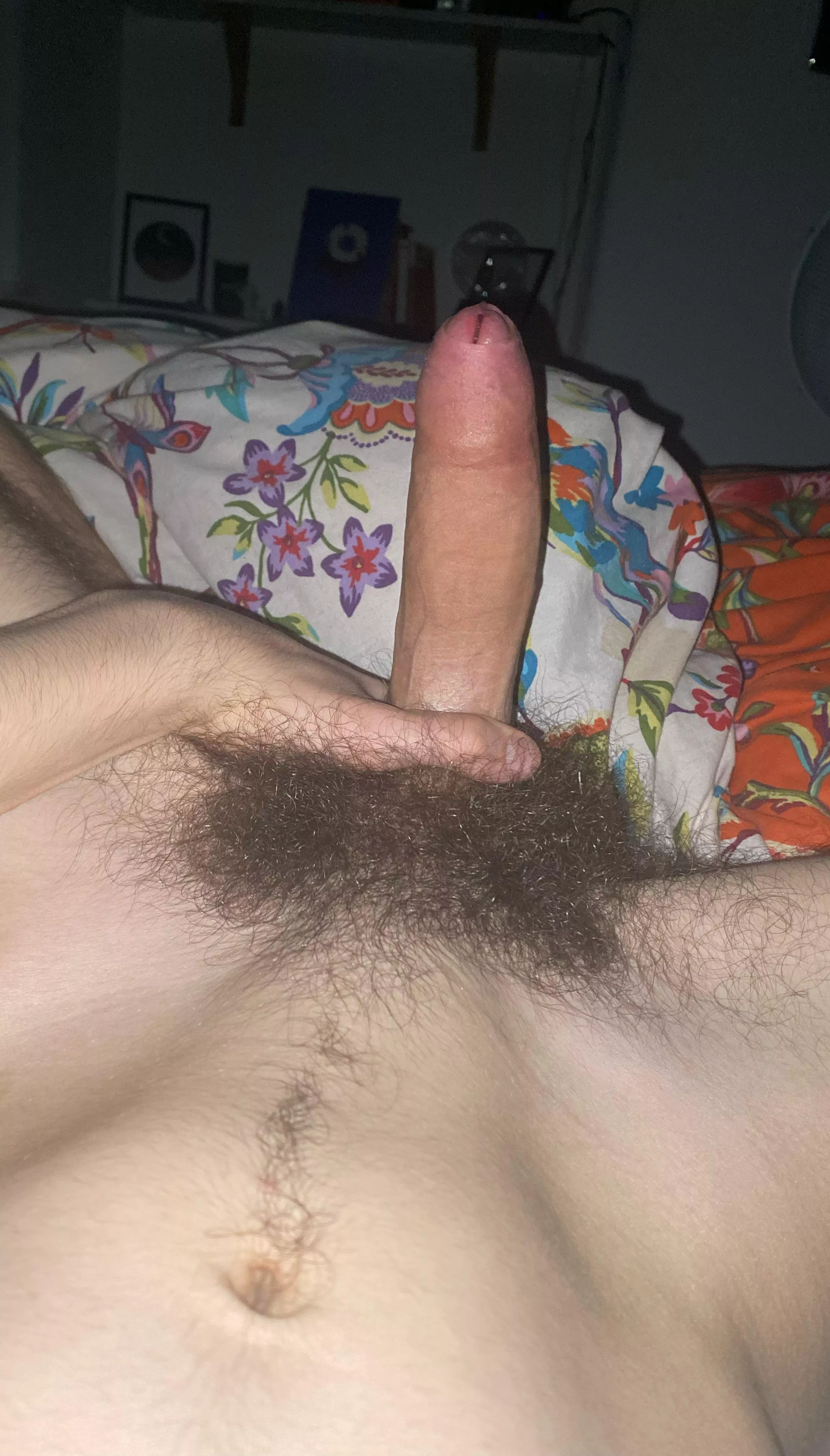 dm me if you like this hairy 18 y/o dick ;) posted by EmployNarrow