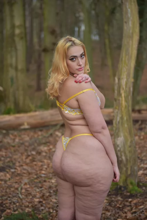 (F) subscribe by Silvakill1945