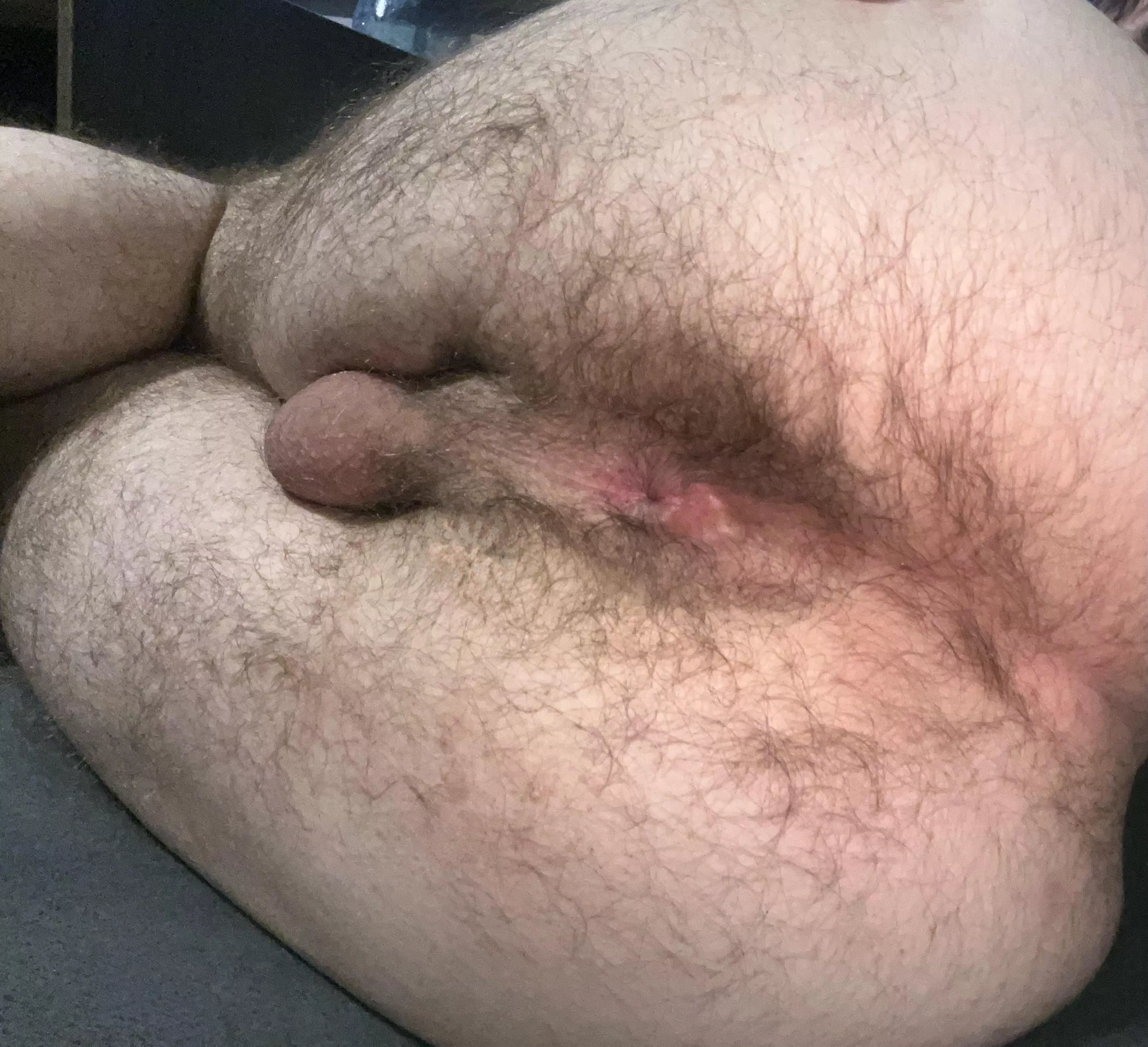 feeling extra breedable today posted by CapitalNew4373