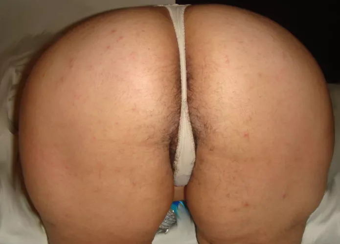 hairyASS [h] by sthp30